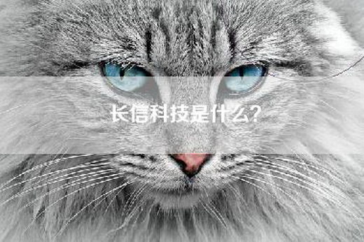 长信科技是什么？