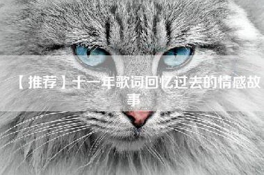 【推荐】十一年歌词回忆过去的情感故事