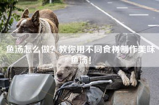 鱼汤怎么做？教你用不同食材制作美味鱼汤！