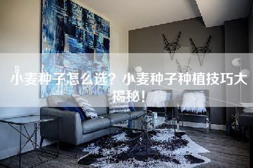 小麦种子怎么选？小麦种子种植技巧大揭秘！