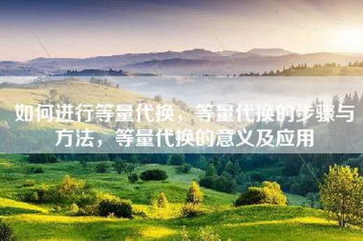 如何进行等量代换，等量代换的步骤与方法，等量代换的意义及应用
