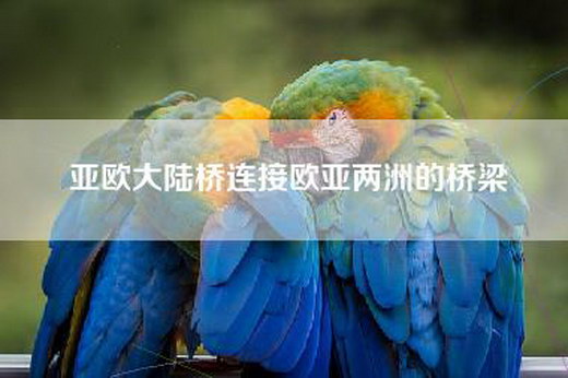亚欧大陆桥连接欧亚两洲的桥梁