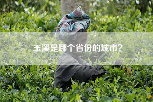 玉溪是哪个省份的城市？
