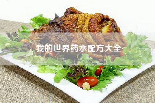 我的世界药水配方大全
