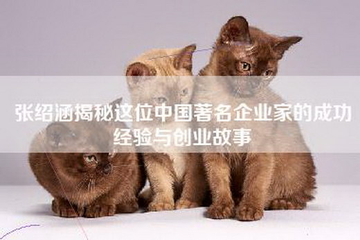 张绍涵揭秘这位中国著名企业家的成功经验与创业故事