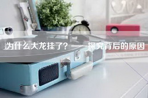 为什么大龙挂了？——探究背后的原因