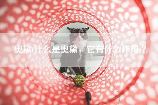 奥黛(什么是奥黛，它有什么作用)？