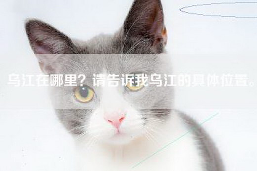 乌江在哪里？请告诉我乌江的具体位置。