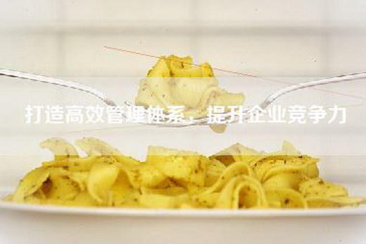 打造高效管理体系，提升企业竞争力