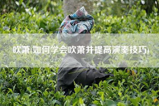 =(如何学会=并提高演奏技巧)