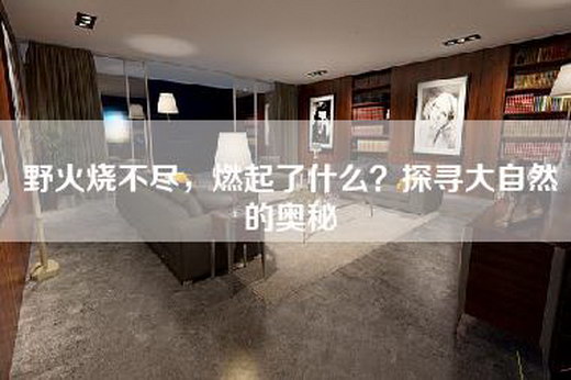 野火烧不尽，燃起了什么？探寻大自然的奥秘