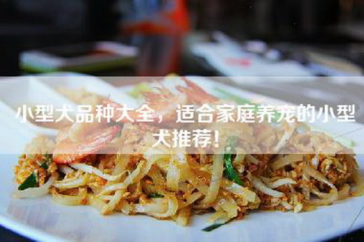 小型犬品种大全，适合家庭养宠的小型犬推荐！