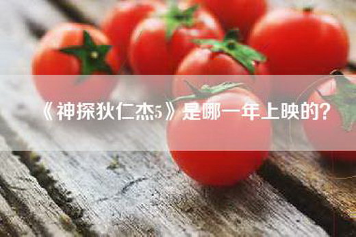 《神探狄仁杰5》是哪一年上映的？