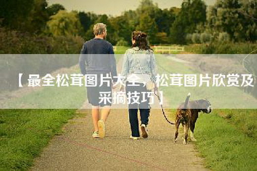 【最全松茸图片大全，松茸图片欣赏及采摘技巧】