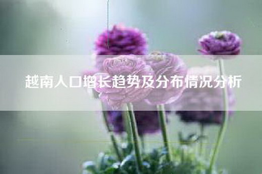 越南人口增长趋势及分布情况分析