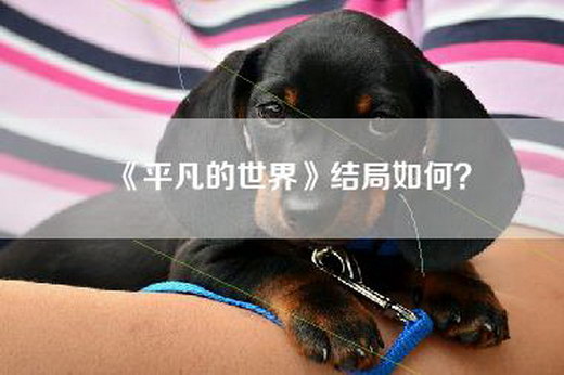 《平凡的世界》结局如何？