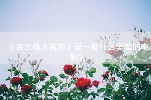 《金三角大营救》是一部什么类型的电影？