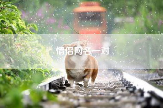 情侣网名一对