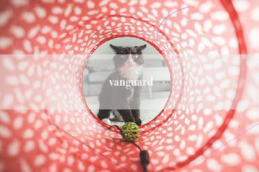 vanguard
