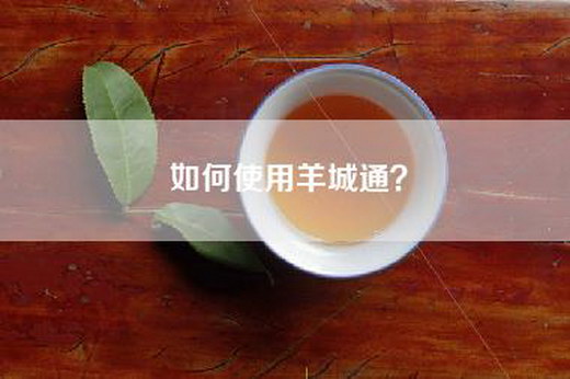 如何使用羊城通？