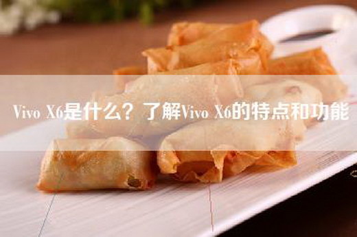 Vivo X6是什么？了解Vivo X6的特点和功能