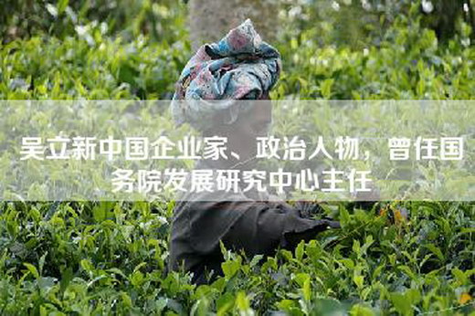 吴立新中国企业家、政治人物，曾任国务院发展研究中心主任