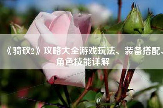 《骑砍2》攻略大全游戏玩法、装备搭配、角色技能详解