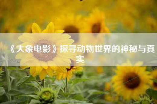 《大象电影》探寻动物世界的神秘与真实
