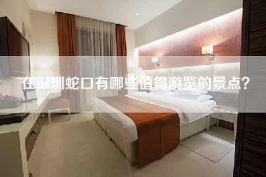 在深圳蛇口有哪些值得游览的景点？