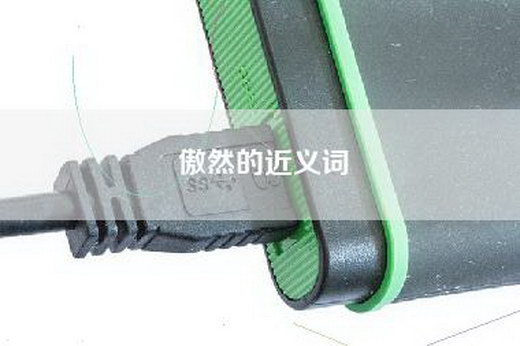 傲然的近义词
