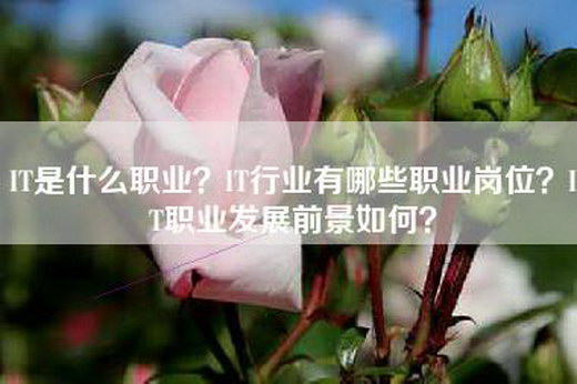 IT是什么职业？IT行业有哪些职业岗位？IT职业发展前景如何？