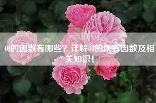 40的因数有哪些？详解40的所有因数及相关知识！