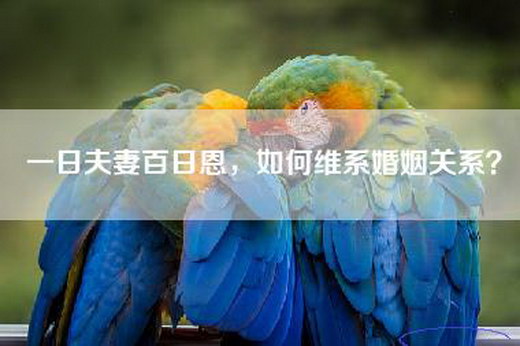 一日夫妻百日恩，如何维系婚姻关系？