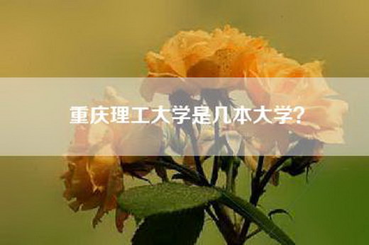 重庆理工大学是几本大学？