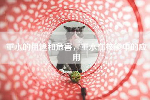 重水的用途和危害，重水在核能中的应用