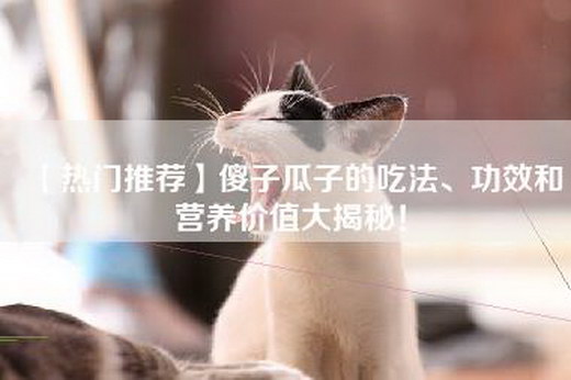 【热门推荐】傻子瓜子的吃法、功效和营养价值大揭秘！