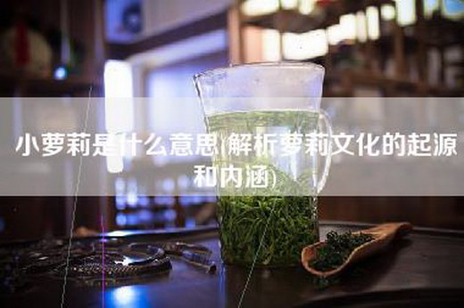 小萝莉是什么意思(解析萝莉文化的起源和内涵)