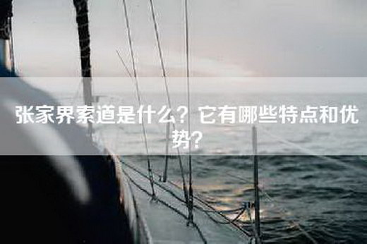 张家界索道是什么？它有哪些特点和优势？