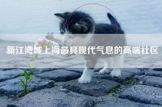 新江湾城上海最具现代气息的高端社区