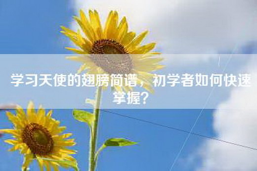 学习天使的翅膀简谱，初学者如何快速掌握？