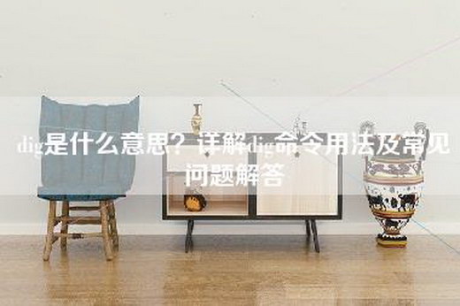 dig是什么意思？详解dig命令用法及常见问题解答