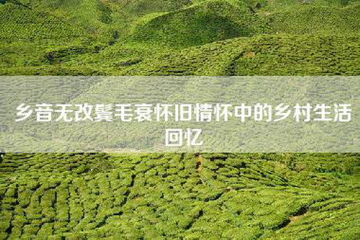 乡音无改鬓毛衰怀旧情怀中的乡村生活回忆