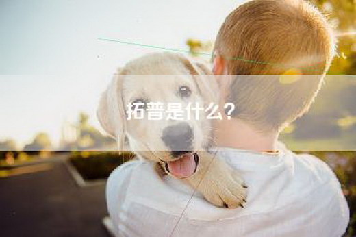 拓普是什么？