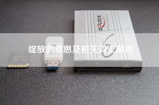 绽放的意思及相关词汇解析