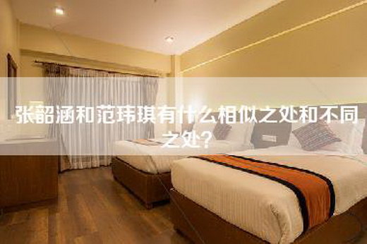 张韶涵和范玮琪有什么相似之处和不同之处？