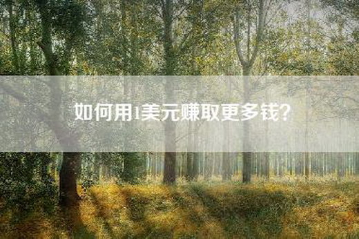 如何用1美元赚取更多钱？