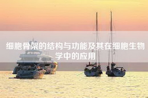 细胞骨架的结构与功能及其在细胞生物学中的应用