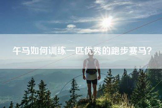 午马如何训练一匹优秀的跑步赛马？