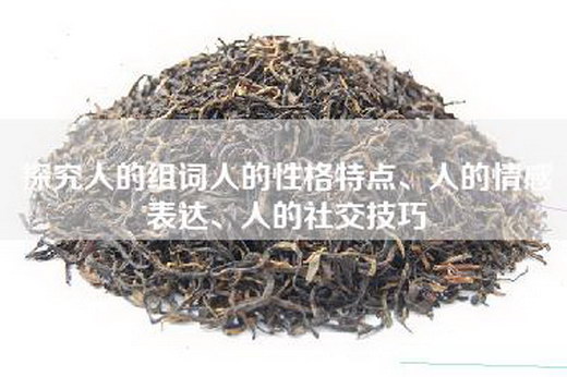 探究人的组词人的性格特点、人的情感表达、人的社交技巧