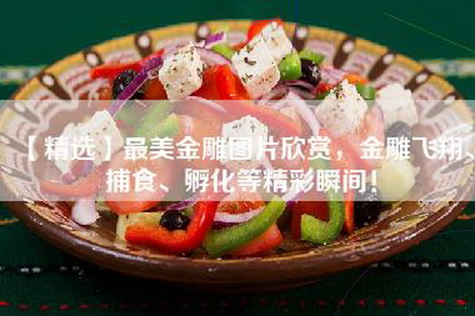 【精选】最美金雕图片欣赏，金雕飞翔、捕食、孵化等精彩瞬间！